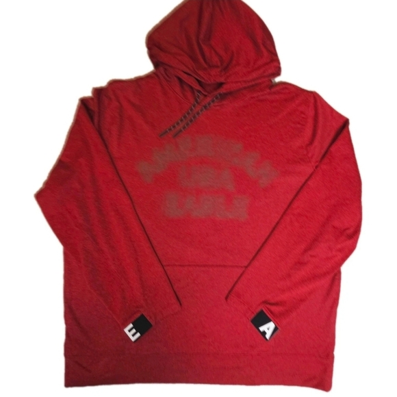 🦅 American Eagle Outfitters AE Graphic Hoodie Men's Size 2X - Picture 1 of 7